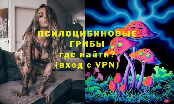 PSILOCYBIN Дмитров